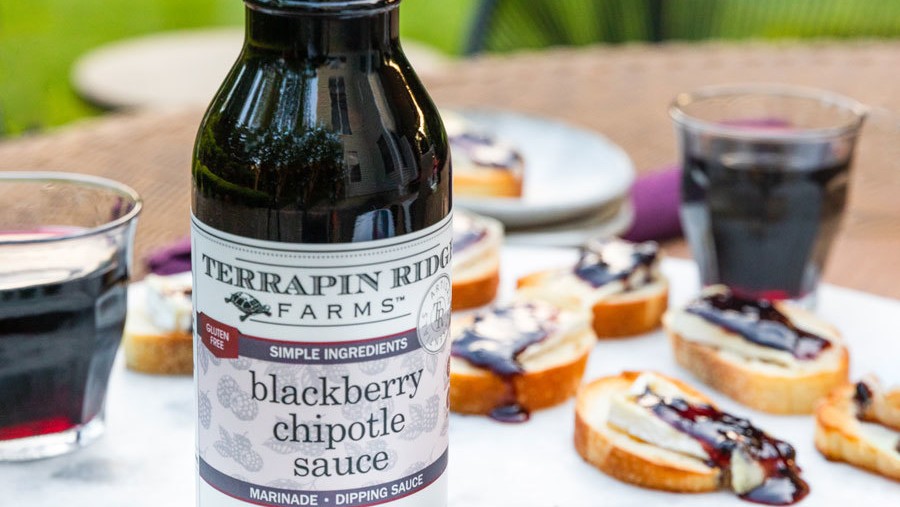 Image of Camembert and Blackberry Chipotle Sauce Crostini