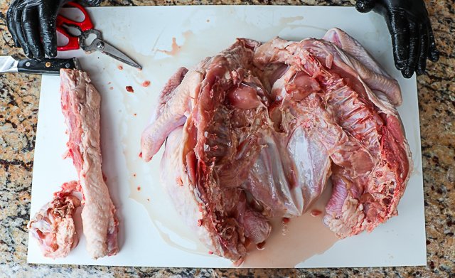 Image of Remove the tail with a sharp knife, flip the turkey...