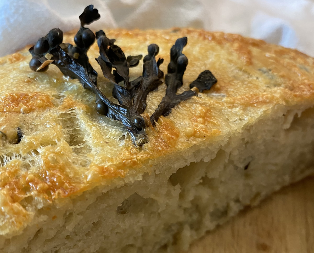 Seaweed-Asiago Boule Bread with Bladderwrack Recipe