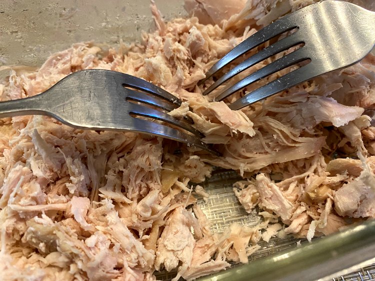 Image of Flake the chicken with fork