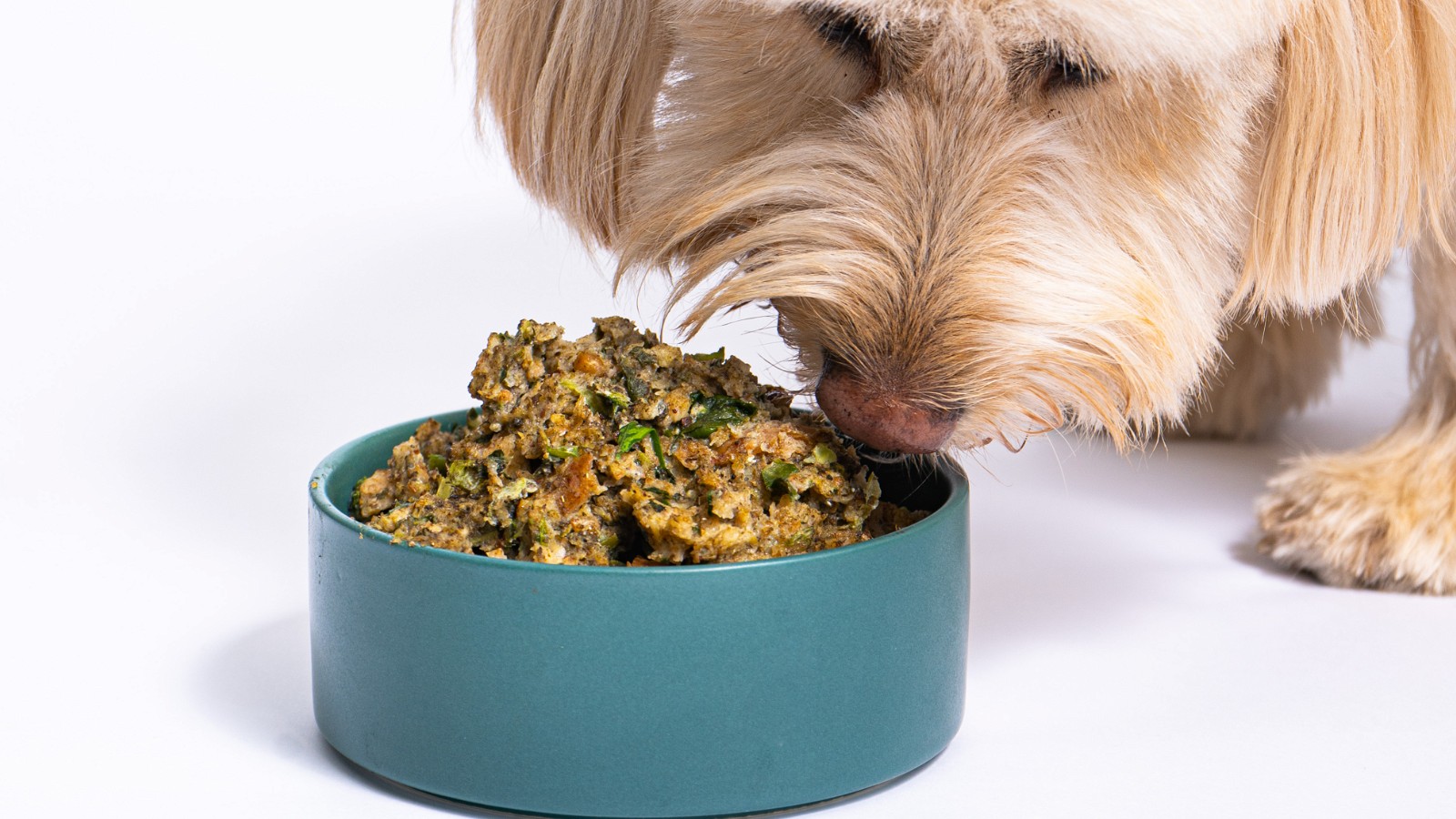 Image of Egg Frittata for Dogs