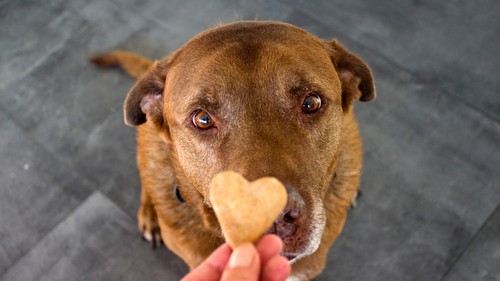 Image of Peanut Butter and Apple Dog Treats
