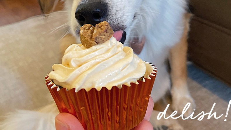 Image of The Best Dog-Friendly Pumpkin Cupcakes