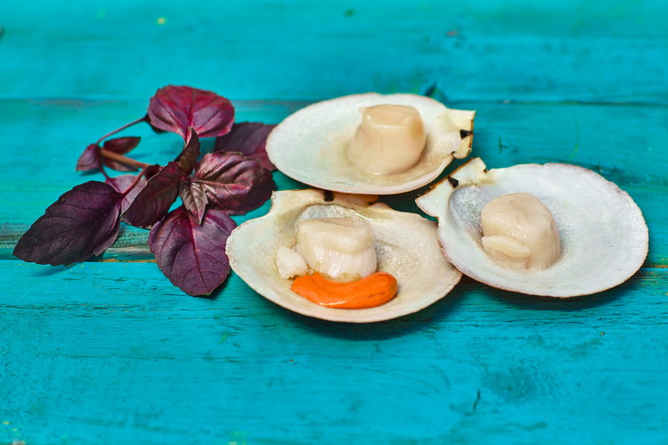 Image of Déposez les noix de pétoncles en coquille sur une assiette creuse remplie de glace pilée, faites de petites incisions avec un couteau sur la noix blanche. Assaisonnez-la avec un peu de sel fin et ajoutez-y une bonne cuillère de condiment...