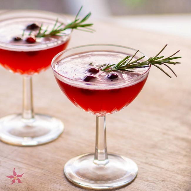 Image of Cranberry Shrub Cocktail