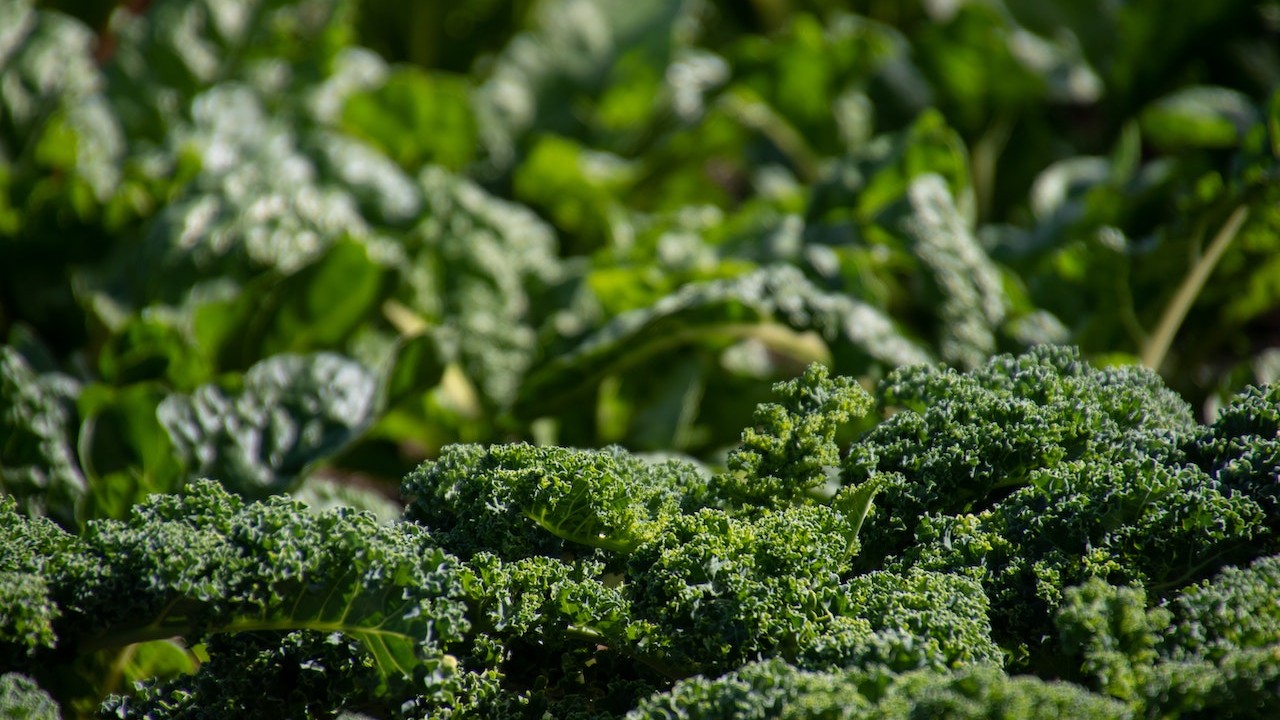 Image of The Best Ever Kale Salad