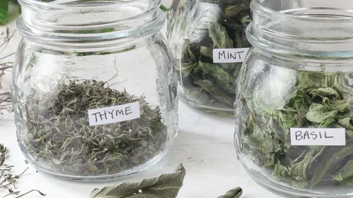 Best tips for drying herbs in a food dehydrator-image