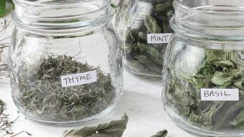 Image of Best tips for drying herbs in a food dehydrator