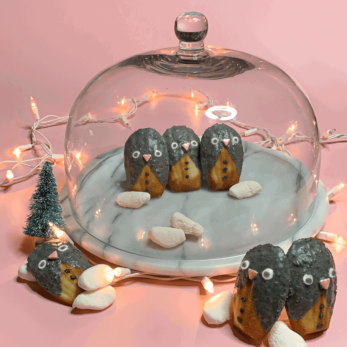 Black Sesame Penguin Madeleines