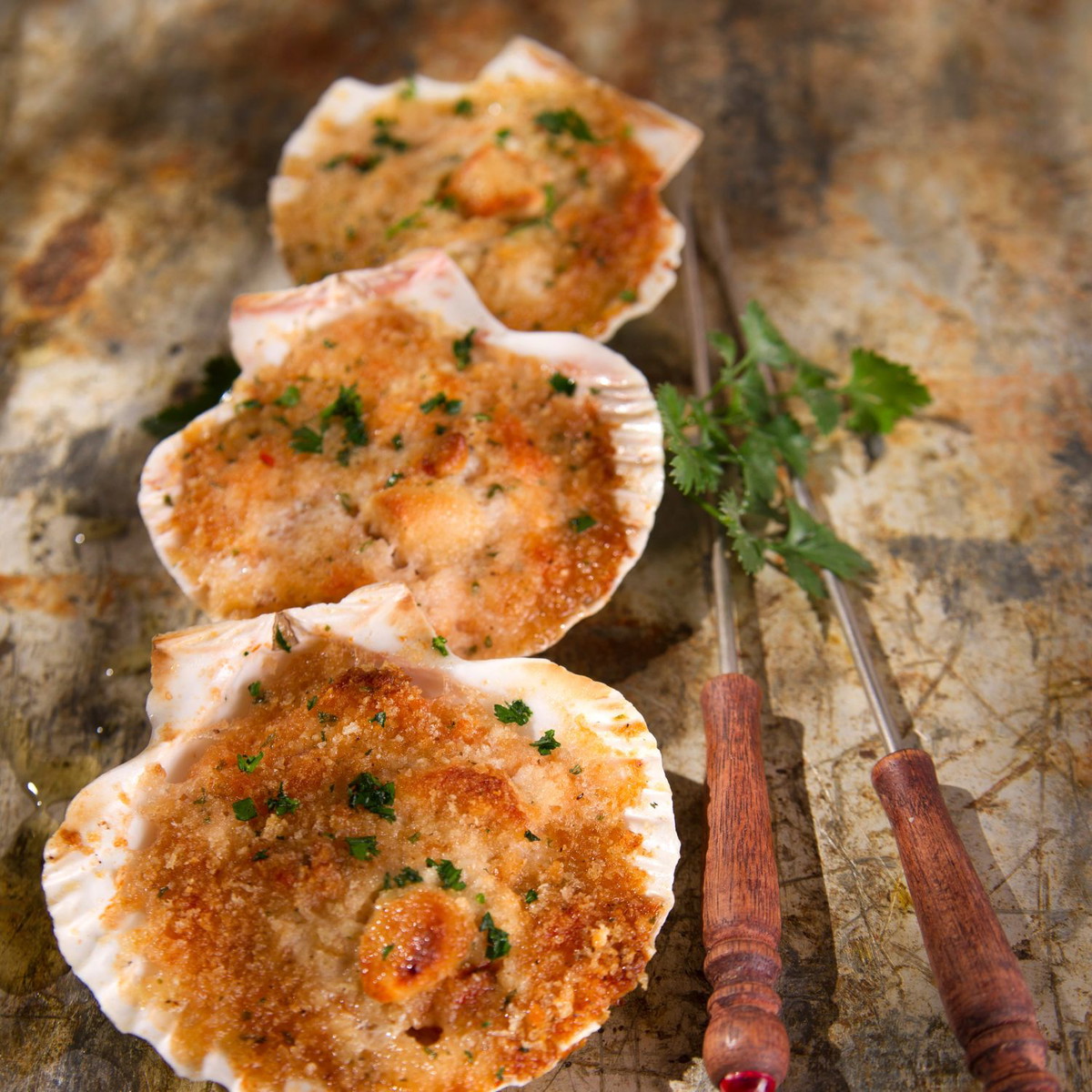 Coquilles Saint-Jacques gratinées