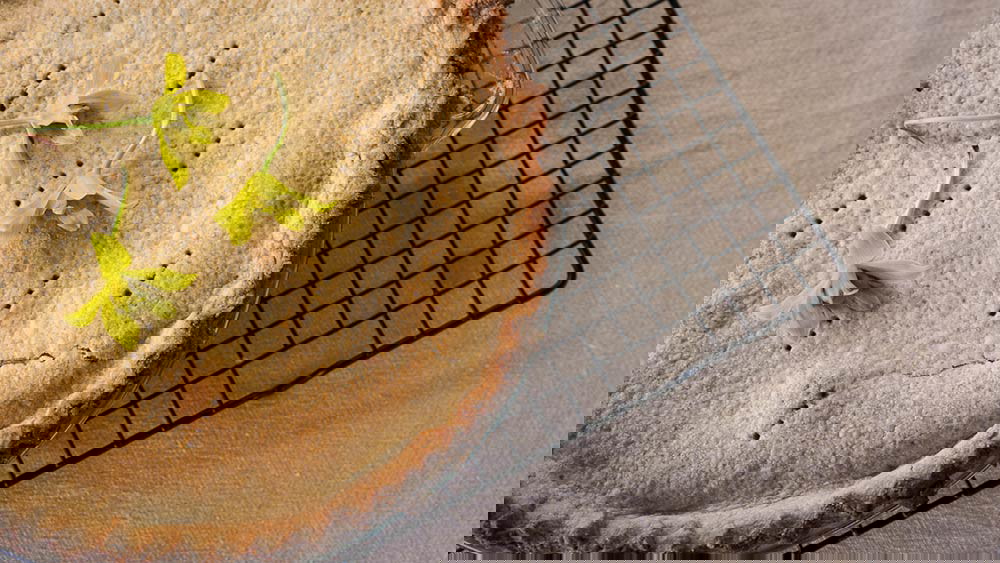 Image of Pie Crust (or Cookies!) made with ʻUlu Flour 