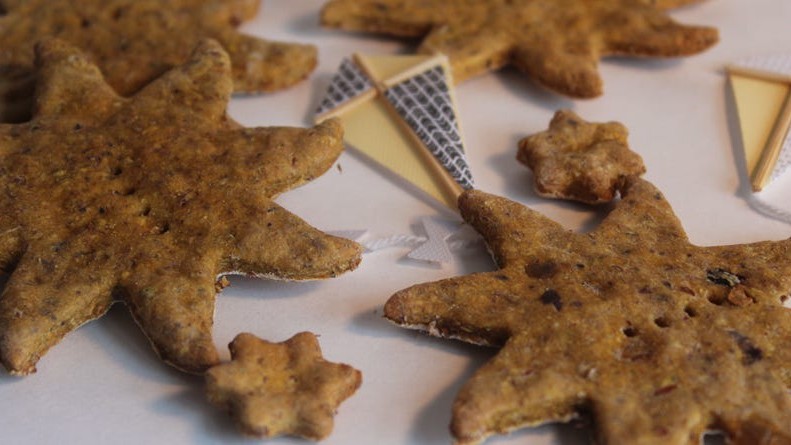 Image of Grain Free Chicken and Blueberry Dog Treats