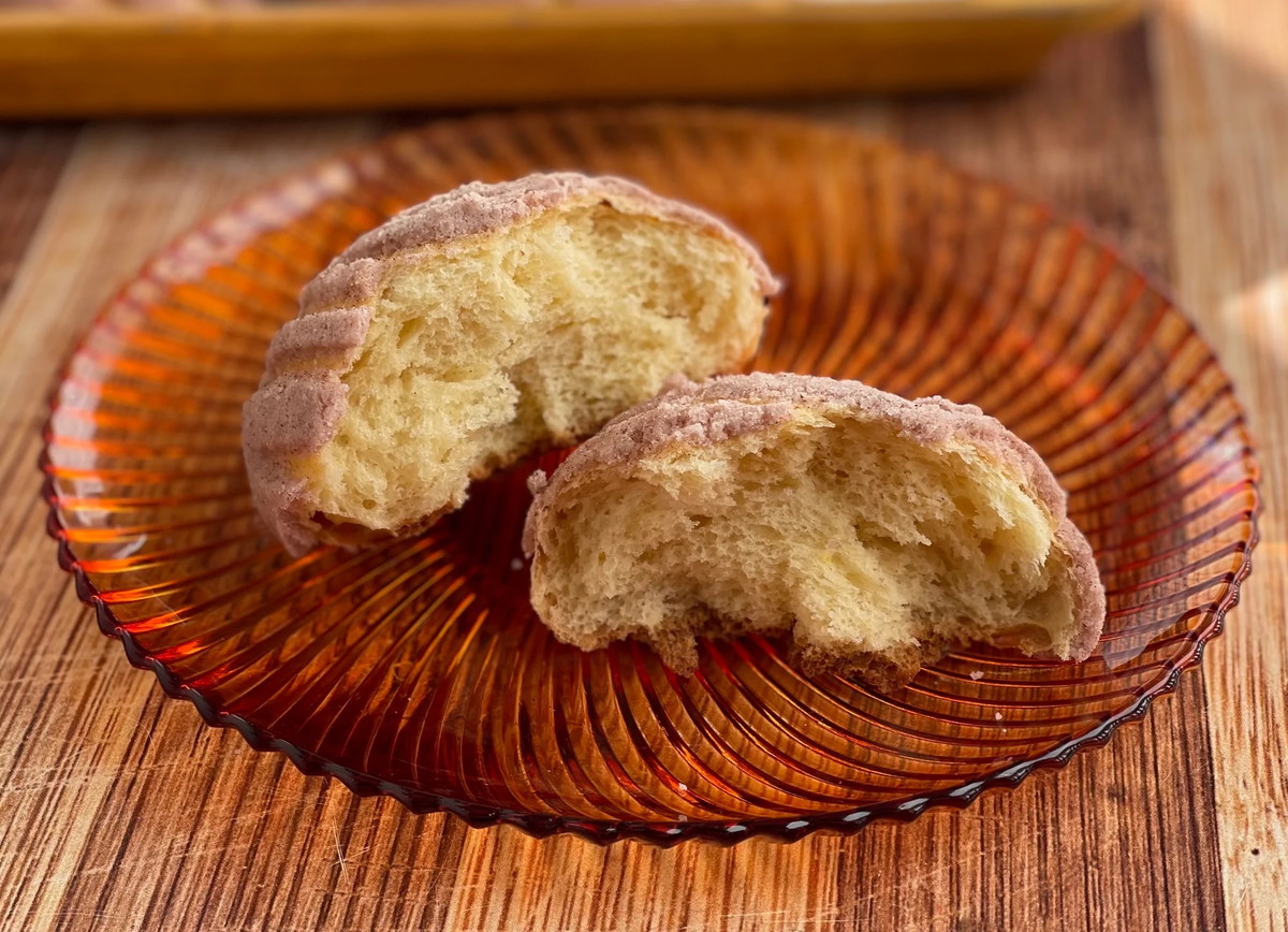 Red Masa Conchas