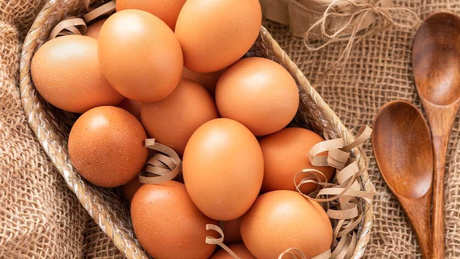 Image of Pasteurized Eggs