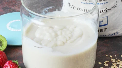 Homemade oat milk yogurt-image