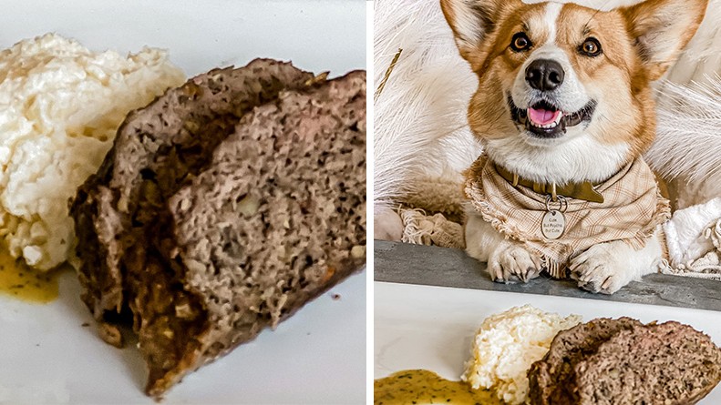 Image of Meatloaf for Dogs