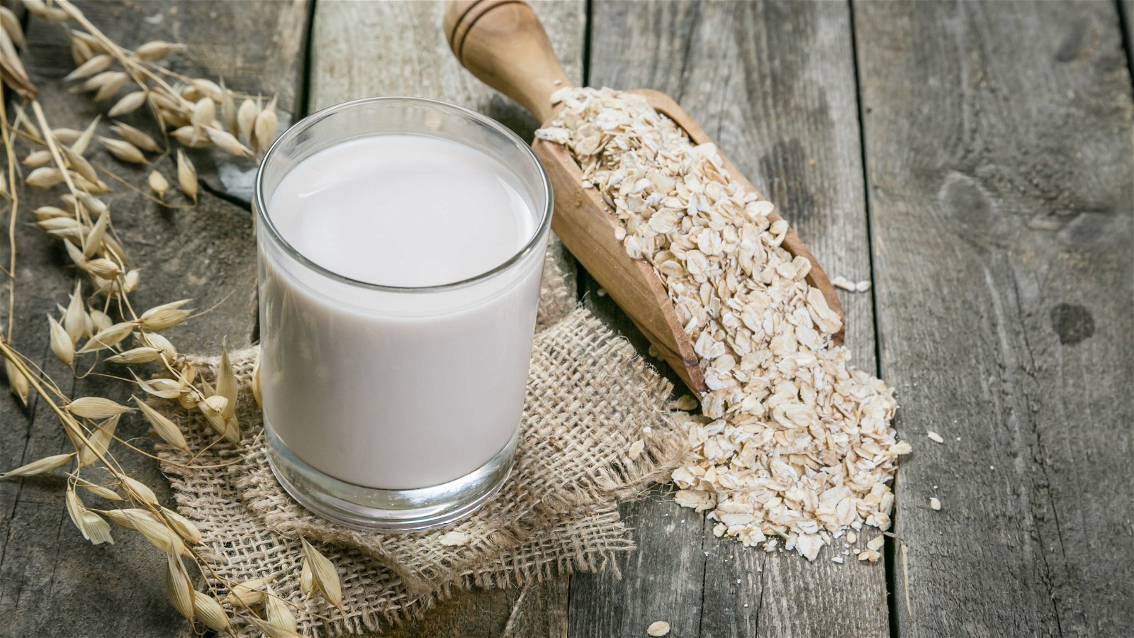 Image of Wholesome Oat Milk - Made Fresh!