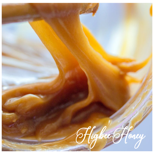 Honey Caramel