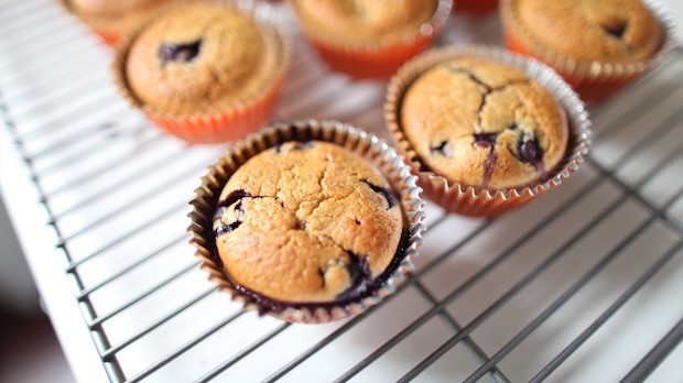 Image of Blueberry Muffins