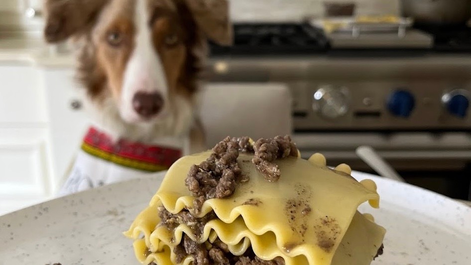 Image of Dog Child Lasagna