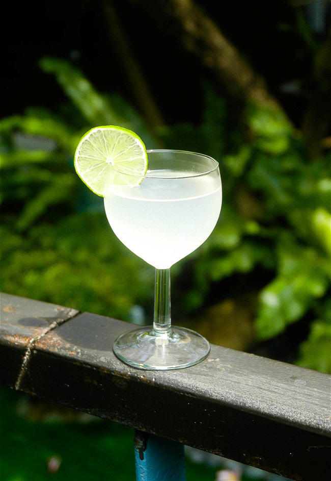 Image of Garden Gimlet