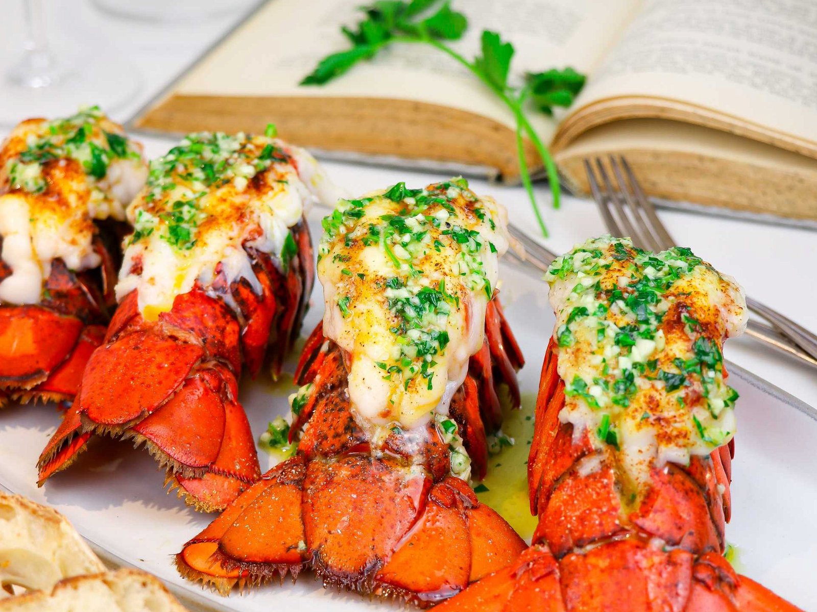 Maine Lobster 1.5lb (Hard Shell) - Pine Tree Seafood