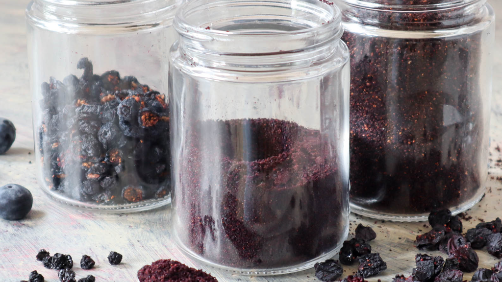 Image of Dehydrate blueberries and make blueberry powder