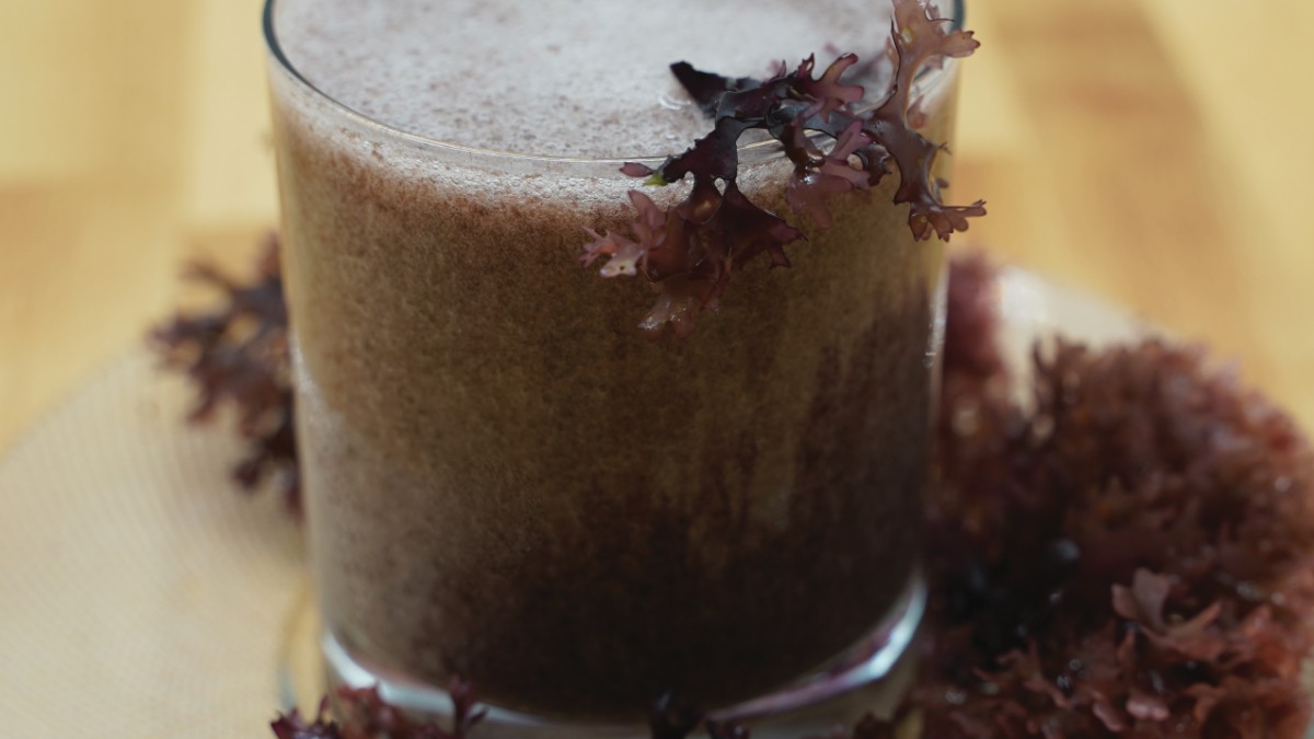 Image of Irish Moss (Chondrus crispus) Gel Recipe - Nourishing Gel for Skin, Hair, and Body
