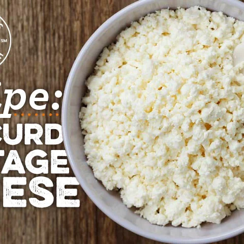 Dry Cottage Cheese Recipe  How To Make Dry Cottage Cheese At Home