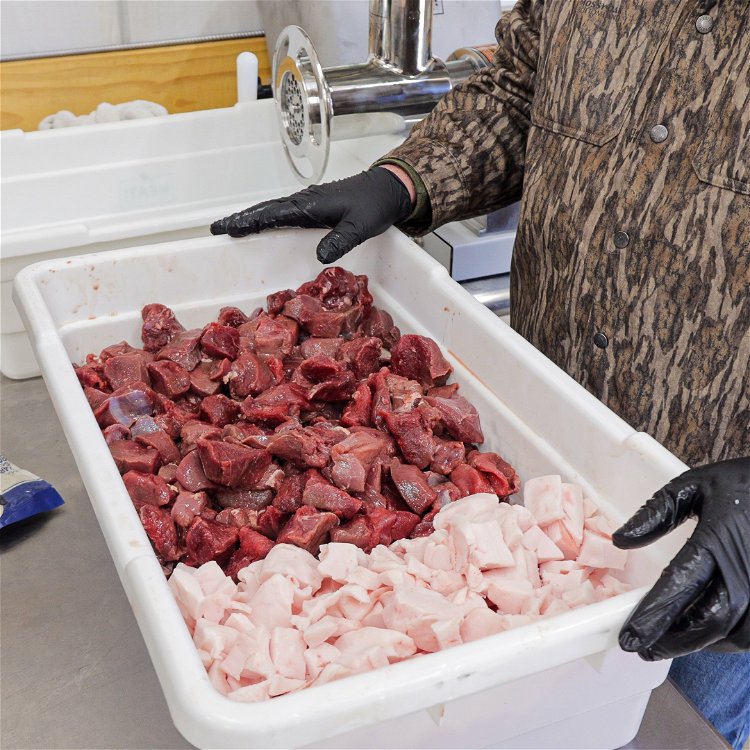 Image of Combine trimmed deer meat and pork fat at a 70/30...