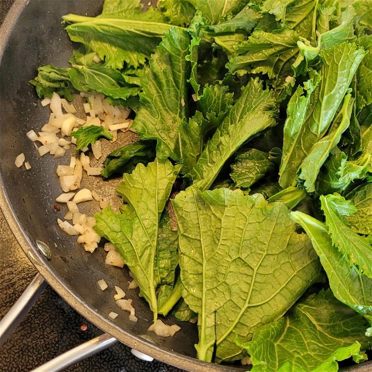Image of Den geputzten Cima di Rapa hingeben und mit andämpfen.
