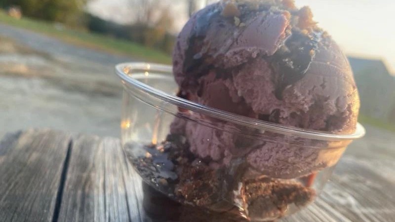 Image of Wood's Maple Chocolate Brownies 