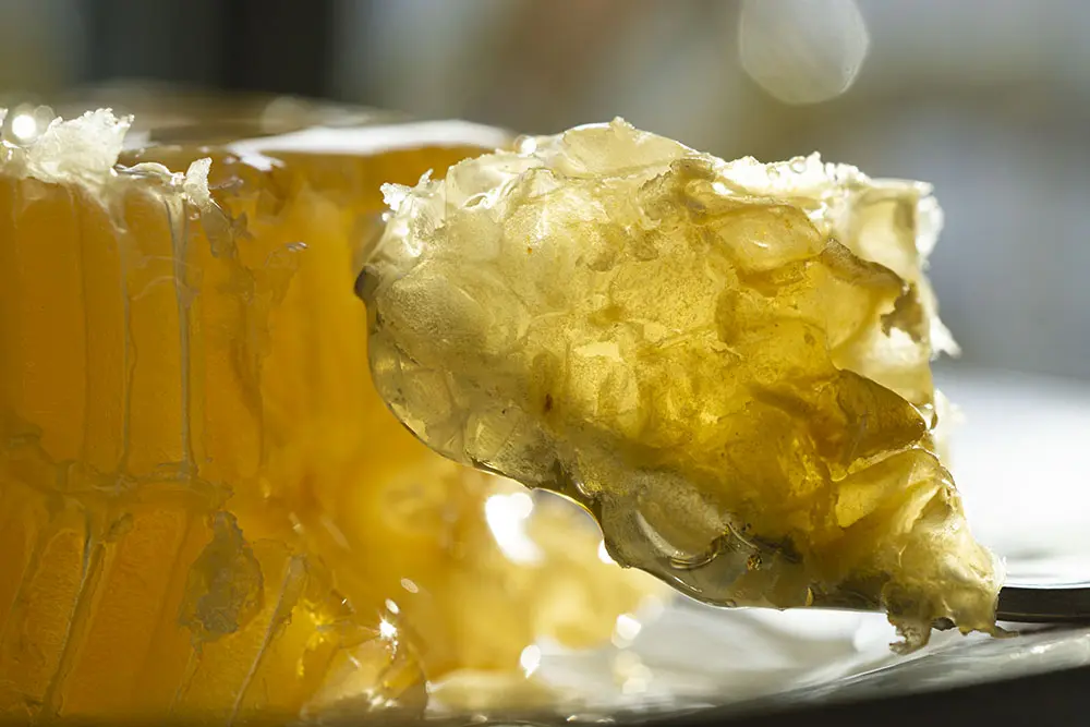 Eating Honeycomb