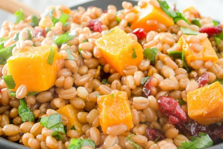 Butternut Squash and Wheat Berry Salad
