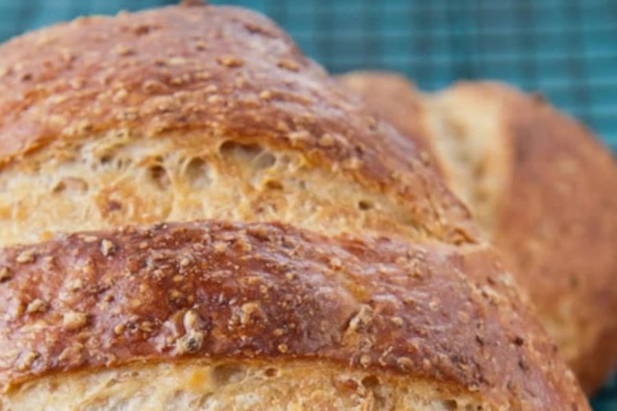 Whole Wheat Sandwich Bread