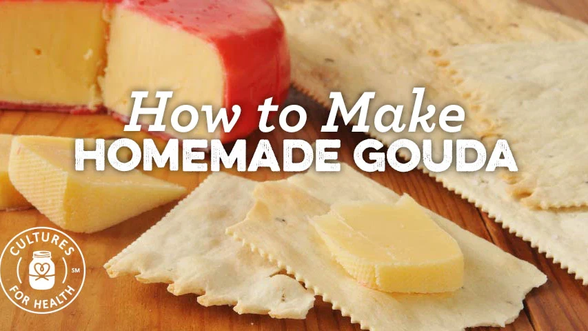 How To Make Cheese: A Guide To Making Gouda Cheese - Molly Green