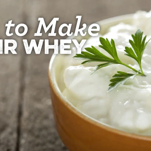 kefir whey glutathione RECIPE: KEFIR WHEY