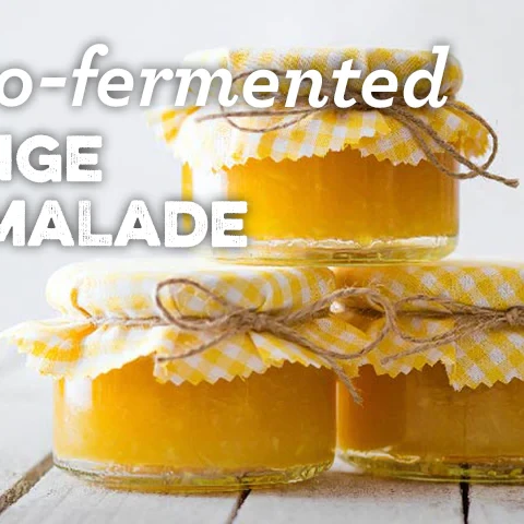 https://images.getrecipekit.com/20230317200648-lacto-fermented-orange-marmalade-recipe_header_01_1600x.webp?aspect_ratio=1:1&quality=90&