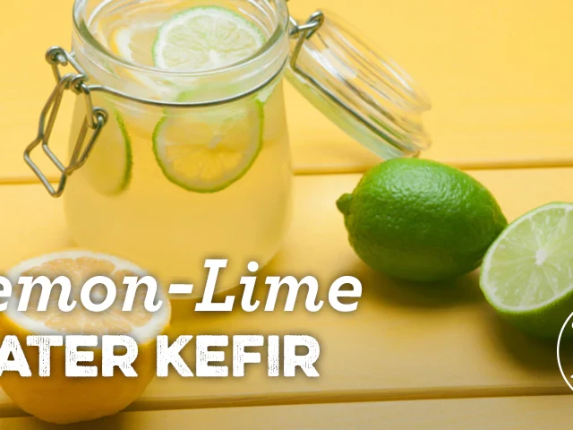 How to Make Water Kefir with a Kefirko — CONNIE AND LUNA