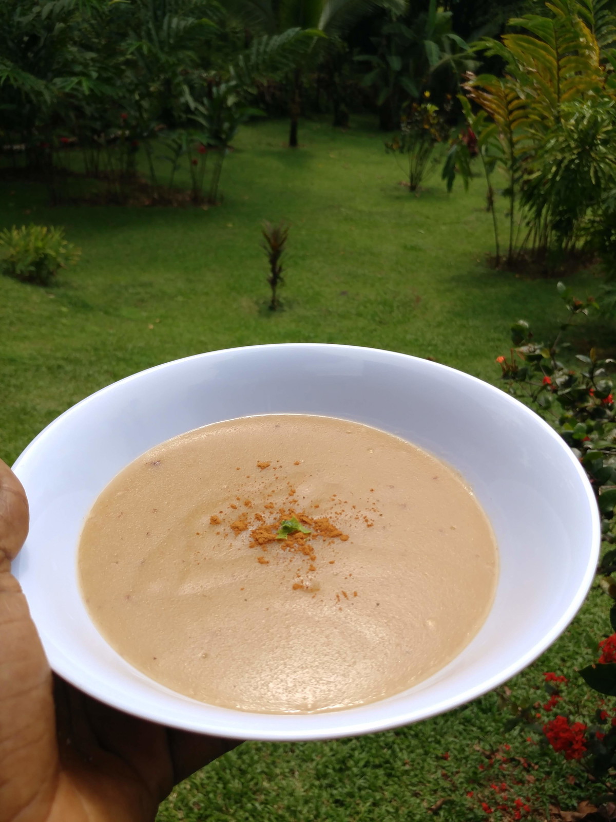 Haitian Plantain Porridge