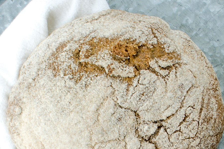 Whole Wheat Herb Artisan Bread