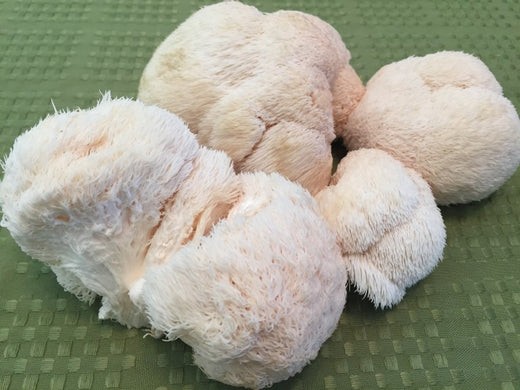 Image of Lion's Mane Mushrooms in Garlic Butter