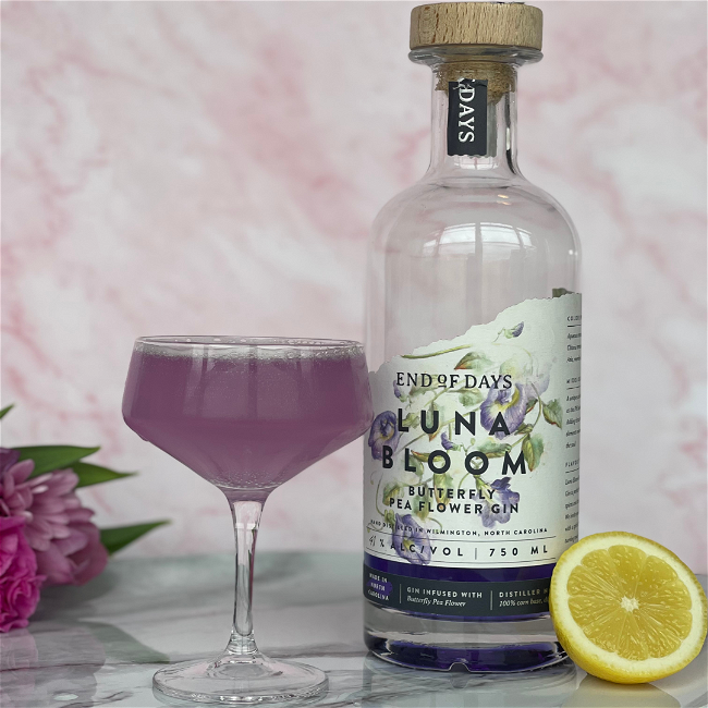 Image of Dreamspace Gin Sour