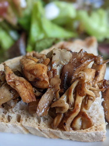 Image of Oyster Mushrooms with Butter and Broth