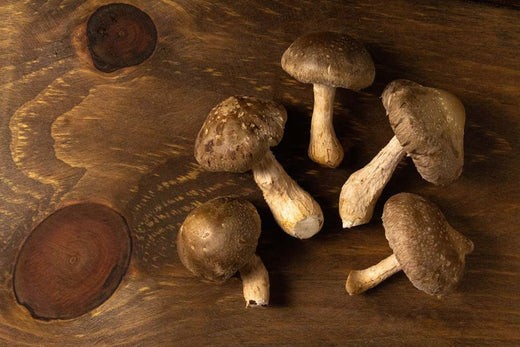 Image of Mushroom Stromboli