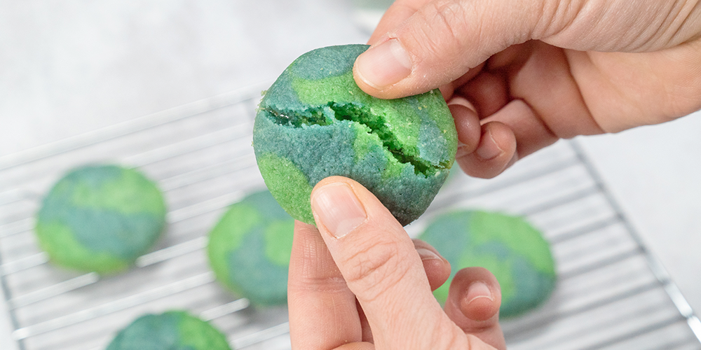 Earth Day Cookies