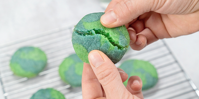 Image of Earth Day Cookies