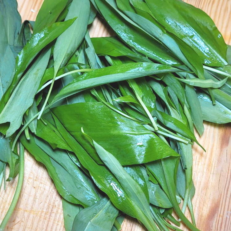 Image of Den gewaschenen Bärlauch dazu geben. 