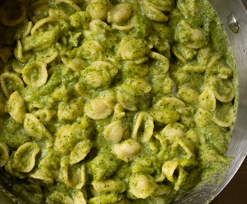 Orecchiette with Broccoli