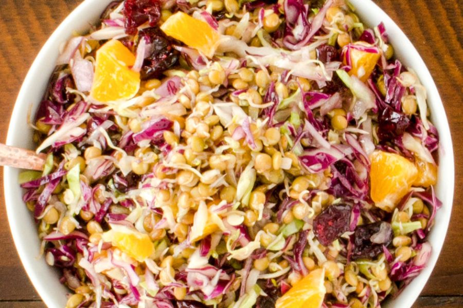 Sprouted Lentil and Cabbage Salad